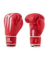 Boxing Gloves ARES 