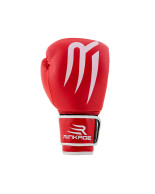 Boxing Gloves ARES 