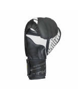 Boxing Gloves BLAST 