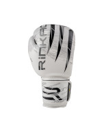Boxing Gloves BLAST 