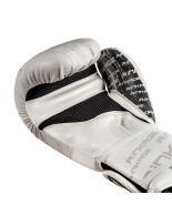 Boxing Gloves BLAST 